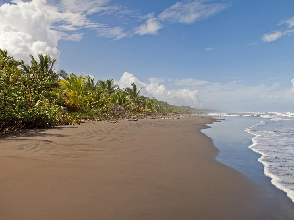 Hotel Caribbean Coconut Cahuita Exterior foto