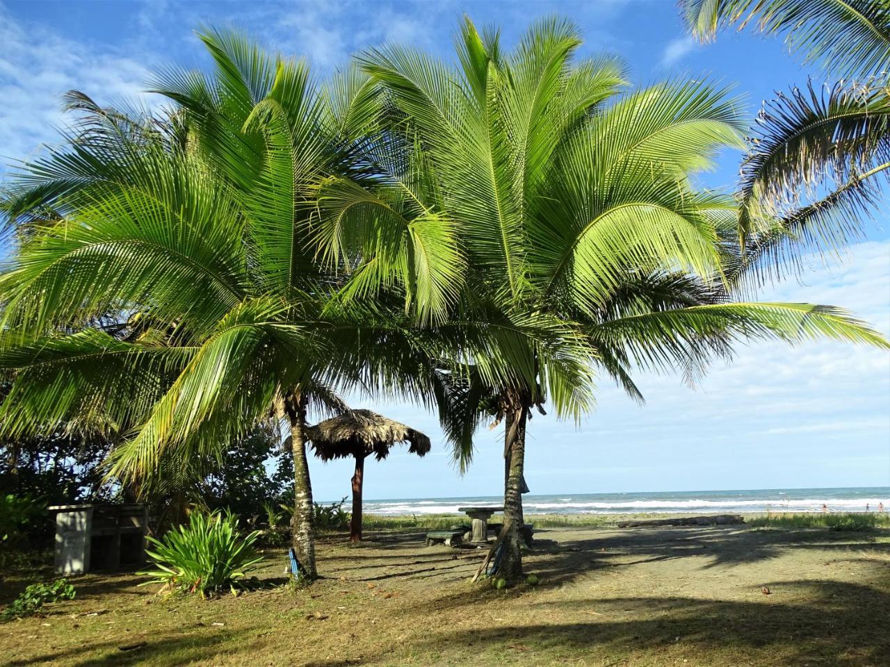 Hotel Caribbean Coconut Cahuita Exterior foto